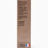 Туалетная вода мужская New Scent New Seduction, 100 мл
