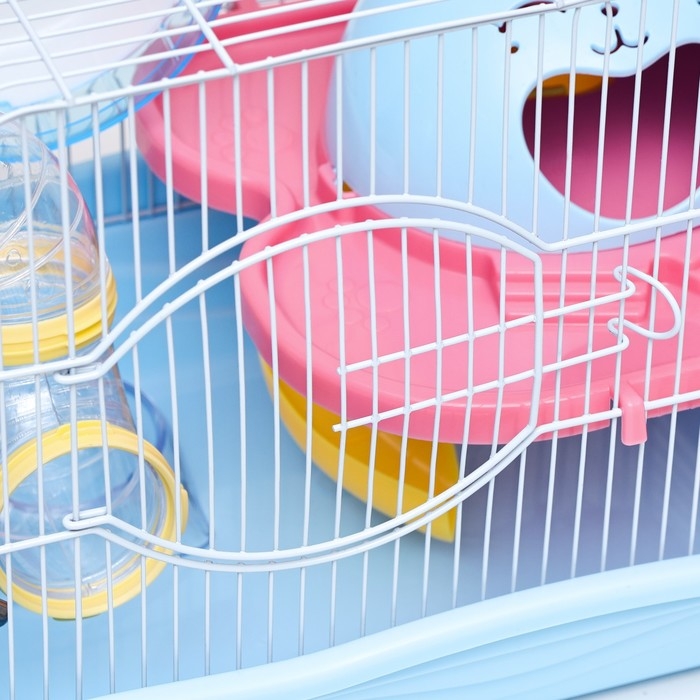 Клетка для грызунов Клетка для грызунов "Пижон", укомплектованная с туннелем, 37 х 27 х 30 см, синий