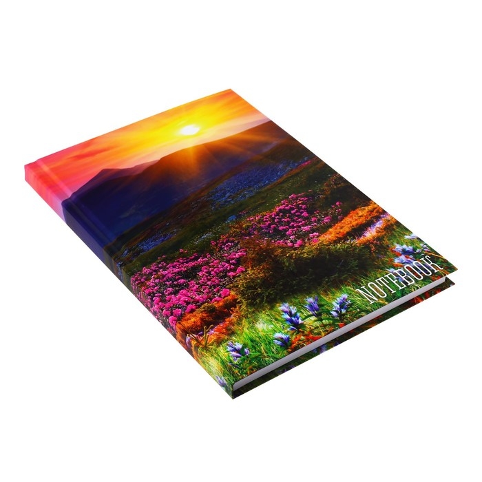 Колледж-тетрадь в твердой обложке 7БЦ, А5, 120 листов, Времена года. Лето, блок в клетку, глянцевая ламинация