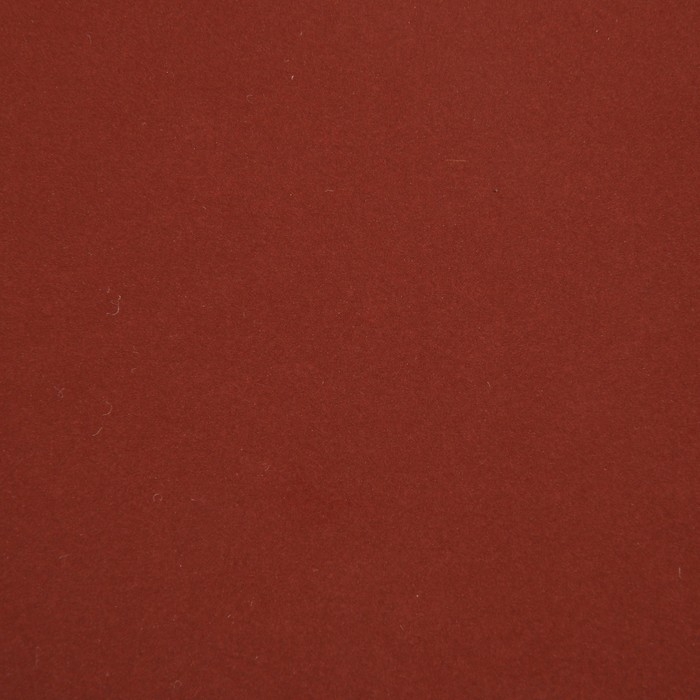 Круг абразивный шлифовальный под  Круг абразивный шлифовальный под "липучку" ТУНДРА, 150 мм, Р1000, 5 шт.