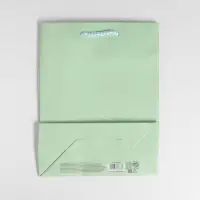 Пакет подарочный ламинированный, упаковка, &laquo;Зелёный&raquo;, MS 18&times;23&times;8 см
