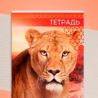 Тетрадь 48 листов в линейку, Calligrata &laquo;Дикие кошки&raquo;, МИКС