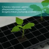 Кассета для рассады, 50 ячеек по 100 мл, пластик, чёрная, 54&times;27&times;8 см, Greengo