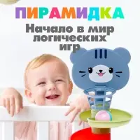 Развивающая пирамидка &laquo;Попади в корзину&raquo;, 6 элементов, цвет МИКС