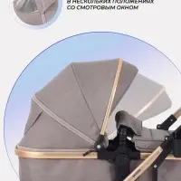 Коляска - трансформер детская RANT basic PULSAR GOLD (2в1) RA160, бежевый Коляска - трансформер детская RANT basic PULSAR GOLD (2в1) RA160, бежевый
