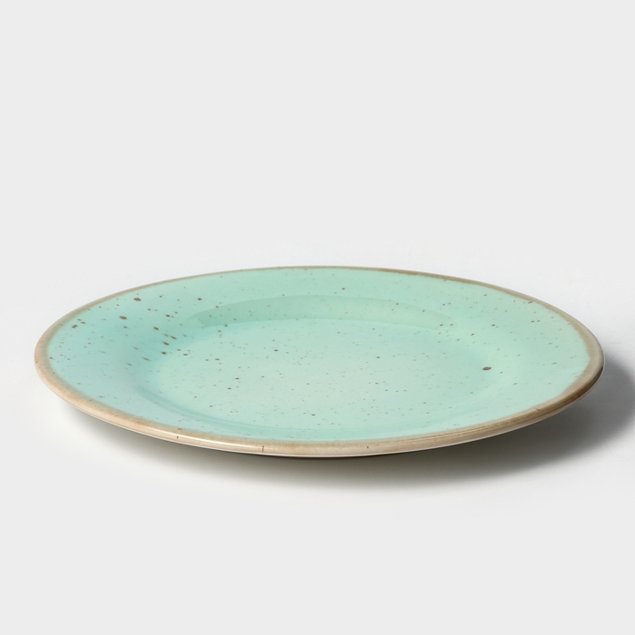 Тарелка фарфоровая Nordic, d=24 см, h=2 см Тарелка фарфоровая Nordic, d=24 см, h=2 см