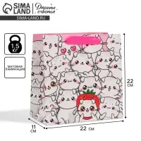 Пакет подарочный ламинированный квадратный, упаковка, &laquo;Котики&raquo;, 22&times;22&times;11 см