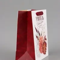 Подарочный набор &laquo;Учитель&raquo;, пакет и открытка, ML 27 &times; 23 &times; 11,5 см