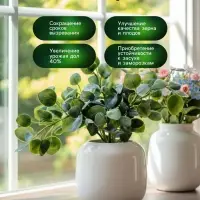 Органическое удобрение для комнатных растений Greenlife, 500 мл
