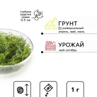 Семена Укроп "Мамонтовый", 1 г