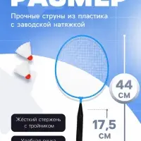 Набор для бадминтона ONLYTOP: 2 ракетки, 2 волана, синий