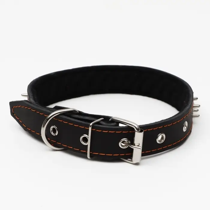 Ошейник кожаный на синтепоне &laquo;Ёж&raquo;, 64&times;3 см, ОШ 40-55 см, чёрный