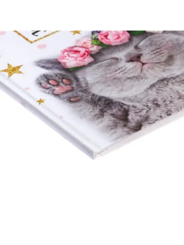 Дневник школьный для 1-11 классов, &laquo;Котенок с розами&raquo;, твёрдая обложка 7БЦ, глянцевая ламинация, 40 листов