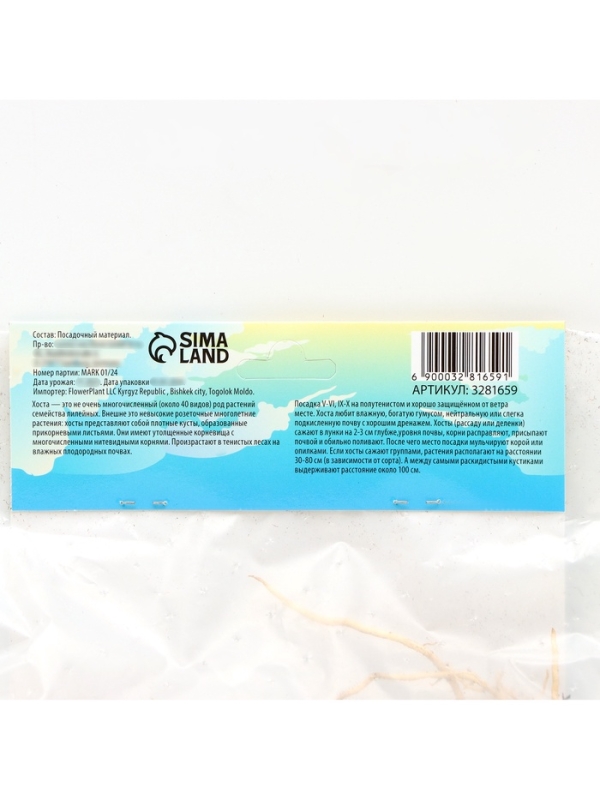 Хоста «Рейнфорест Санрайз», корневище в пакете с торфогрунтом, р-р I, 1 шт.