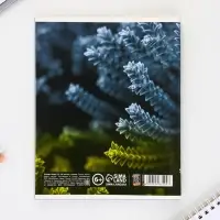 Тетрадь в клетку, предметная, 48 л.,на скрепке, А5 &laquo;ПРИРОДА. Химия&raquo;