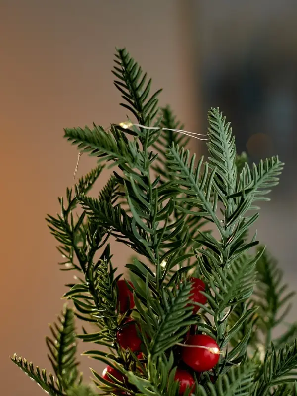 Фигура светодиодная "Сказочное сияние" 40 см, 20 LED, AG13х3 (в компл.), Т/БЕЛЫЙ