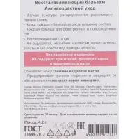 Бальзам для губ ВС восстанавливающий, 4.2 г