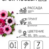 Семена цветов Петуния &laquo;Титан&raquo;, бахромчатая, смесь, 7 шт., &laquo;Гавриш&raquo;