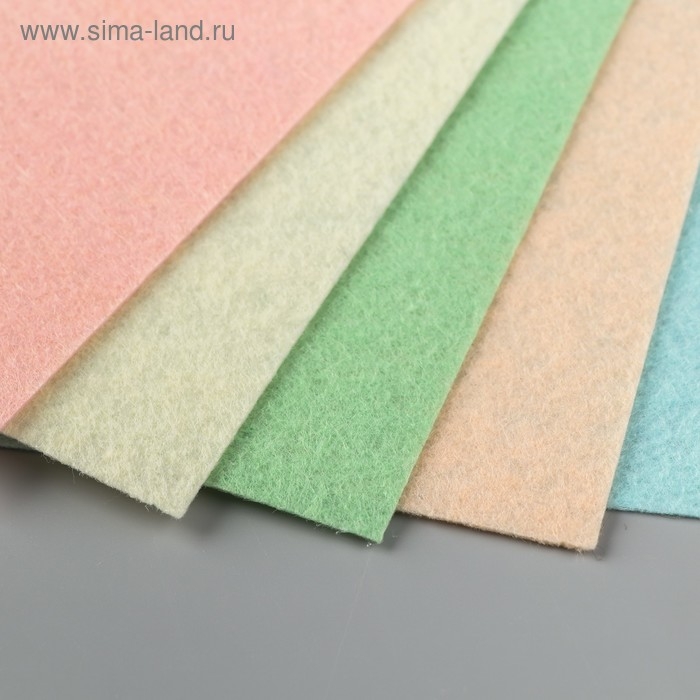 Фетр "BLITZ" 1 мм, мягкий 20х30 см ± 2 см (набор 5 шт) ассорти №5