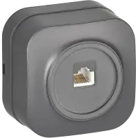 GLORY Розетка для открытой установки компьютерная RJ45 кат.5E РК10-ХСм сталь матовый IEK