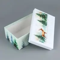 Набор подарочных новогодних коробок 10 в 1 «Новогодние мечты», 30×19×11.5 - 12×6.5×4 см Набор подарочных новогодних коробок 10 в 1 «Новогодние мечты», 30×19×11.5 - 12×6.5×4 см