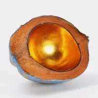 Чаша из кокоса, 22.5&times;25&times;10 см, сине-золотая