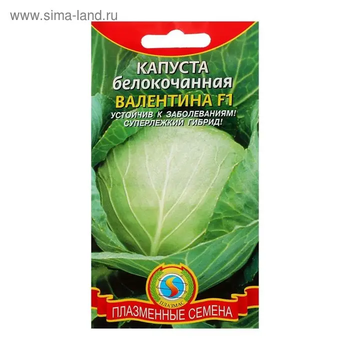 Семена Капуста белокочанная  Семена Капуста белокочанная "Валентина" F1, 0,1 г