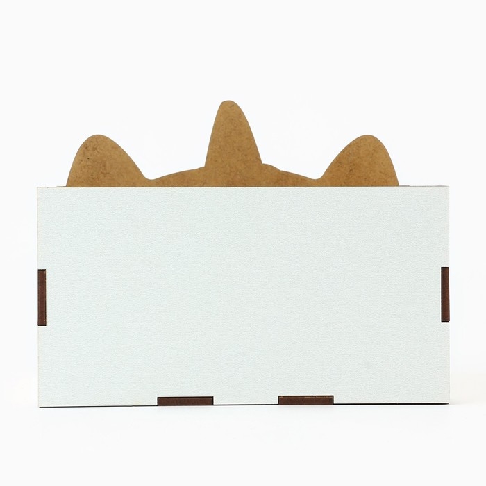 Органайзер для канцелярии «Белый кот» Органайзер для канцелярии «Белый кот»