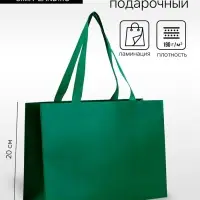 Пакет подарочный ламинированный горизонтальный &laquo;Изумрудный&raquo;, 28&times;20&times;10 см