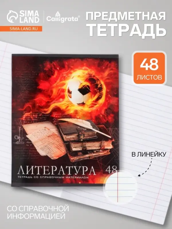 Предметная тетрадь по литературе Calligrata &laquo;Футбол&raquo;, 48 листов, в линейку, со справочным материалом, обложка из мелованного картона