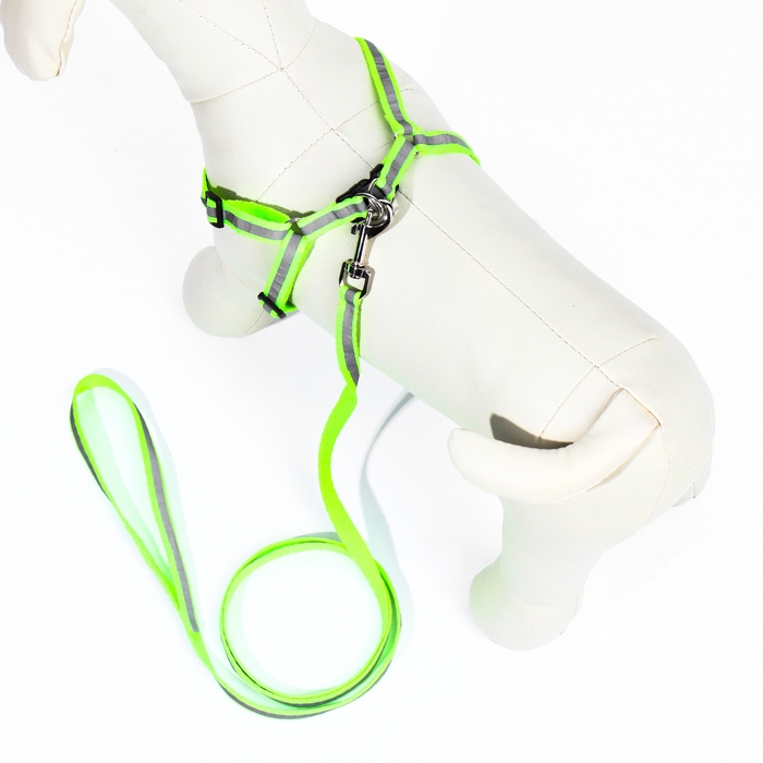 Комплект со светоотражающей лентой, ошейник 120 х 1 см, ОГ 26-40 см, зеленый Комплект со светоотражающей лентой, ошейник 120 х 1 см, ОГ 26-40 см, зеленый