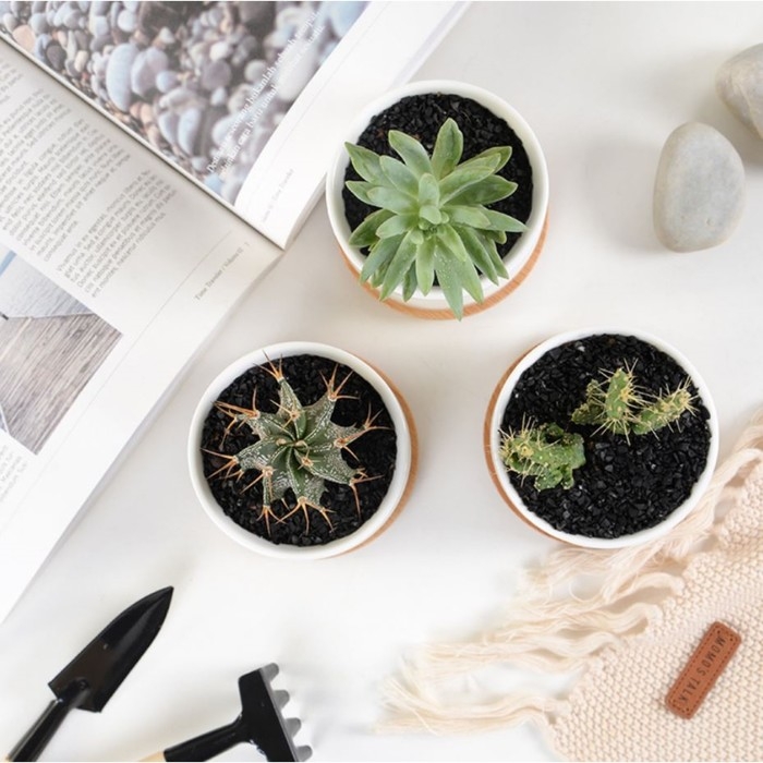 Горшок Горшок "Эко" 10х9,5см, белый