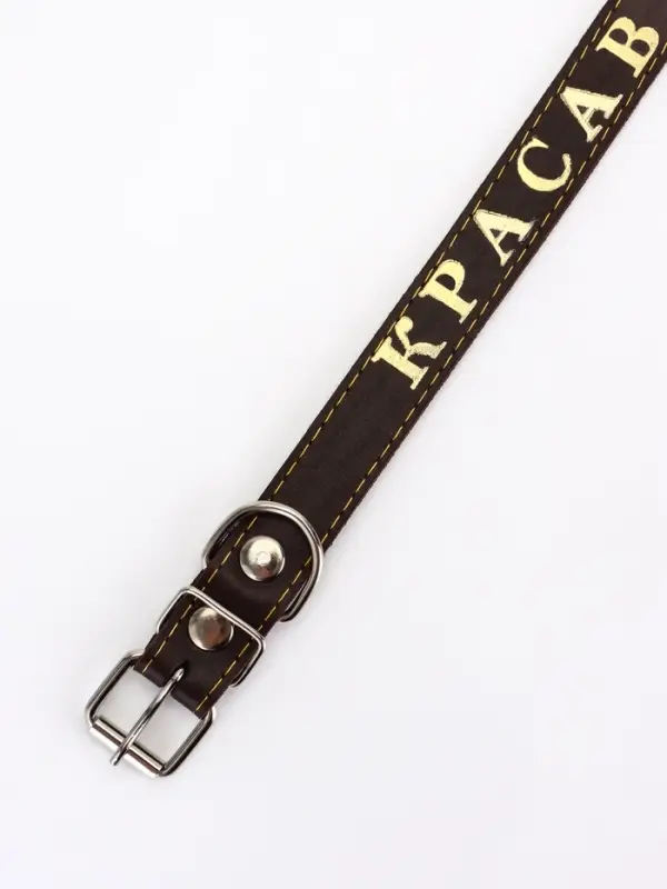 Ошейник однослойный Ошейник однослойный "Красавчик", 2.5 см, тиснение фольгой, микс цветов