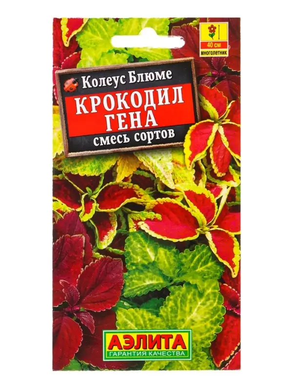 Семена цветов Колеус блюме Крокодил Гена, смесь сортов Мн, Ц/П,0,05 г Семена цветов Колеус блюме Крокодил Гена, смесь сортов Мн, Ц/П,0,05 г