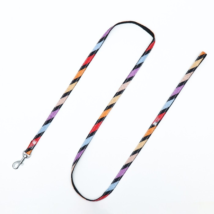 Комплект амуниции двухслойный, S, поводок 120х1 см,ОШ 24-38 ОГ 29-41 см, разноцветные полосы 96837 Комплект амуниции двухслойный, S, поводок 120х1 см,ОШ 24-38 ОГ 29-41 см, разноцветные полосы 96837