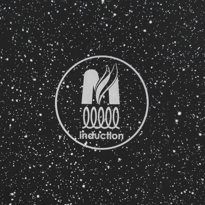 Сковорода Мечта &laquo;Гранит Black&raquo; Induction Pro, d=26 см, h=6 см, съёмная ручка, антипригарное покрытие, индукция, литой алюминий, чёрный