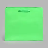 Пакет подарочный ламинированный, ML 27&times;23&times;11.5 см, неон салатовый
