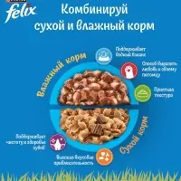 Влажный корм Felix Природа вкуса для кошек, говядина, 75 г