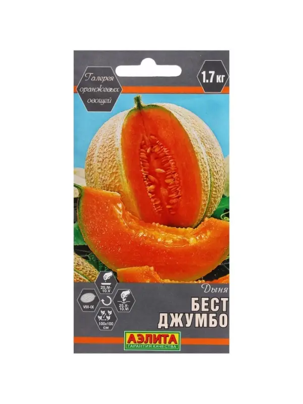 Набор семян Дыня Набор семян Дыня "Бест Джумбо", 5 шт.