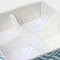 Органайзер для хранения белья Доляна &laquo;Лагуна&raquo;, 4 ячейки, 29&times;29&times;10 см, бирюзовый