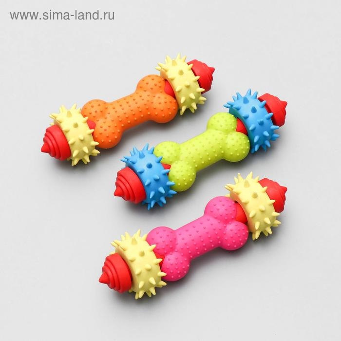 Игрушка жевательная Игрушка жевательная "Мегаконструктор", TPR, 18 см, микс цветов