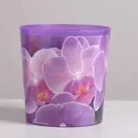 Кашпо для цветов «Орхидея», 1,6 л, 14 х 14 см Кашпо для цветов «Орхидея», 1,6 л, 14 х 14 см