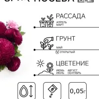 Семена цветов Астра игольчато-коготковая "Джувел Аметист", ц/п, однолетняя, 0,05 г