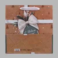 Пакет подарочный &laquo;С Новым годом&raquo;, 30&times;30&times;12 см