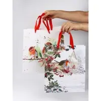 Набор пакетов «Новый год», 3 шт, 26 × 30 × 9 см Набор пакетов «Новый год», 3 шт, 26 × 30 × 9 см