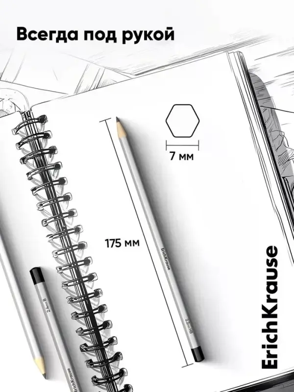 Набор карандашей чернографитных различной твердости 6 штук, ErichKrause, грифель d=2.2 мм, дерево, шестигранные, ударопрочные, серебро, в коробке