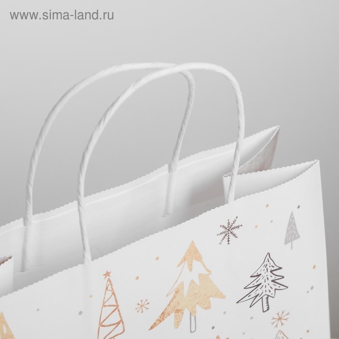 Пакет подарочный новогодний крафт «Волшебство», 25 х 22 х 12 см Пакет подарочный новогодний крафт «Волшебство», 25 х 22 х 12 см