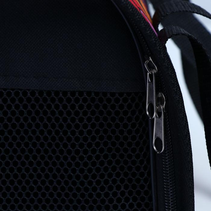 Сумка - переноска для животных, 31 х 20,5 х 22, микс цветов Сумка - переноска для животных, 31 х 20,5 х 22, микс цветов