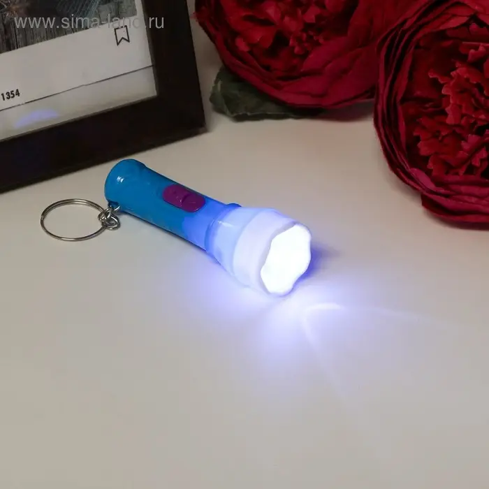 Фонарик брелок для ключей на кольце «Яркий с белой окантовкой», светит, 7×2.2×2.2 см, МИКС Фонарик брелок для ключей на кольце «Яркий с белой окантовкой», светит, 7×2.2×2.2 см, МИКС