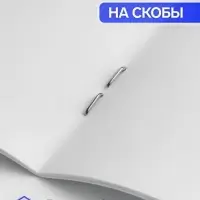 Альбомы для рисования Calligrata, 2 штуки, А4, 40 листов, на скрепке